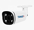 Trassir TR-D2123IR6 v6 (2.7-13.5) 2Mp Уличная миниатюрная IP-видеокамера