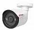 Tigris THL - S20 (2.8) 2Mp Уличная видеокамера, UVC, 1/2.9&quot; SONY IMX323 + NextChip NVP2441H, 1920х1080 (960H CVBS), 0.001лк(цвет)/0лк с ИК, ИК - подсветка до 25м, DC12V, 350мА, от - 40 до +50°С, IP66, 155x60x60мм